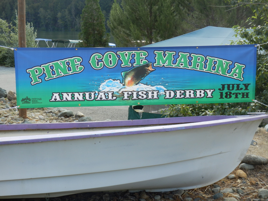 Fishing Derby - Pine Cove Marina